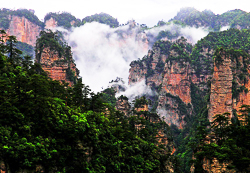 Der Nationale Waldpark Zhangjiajie
